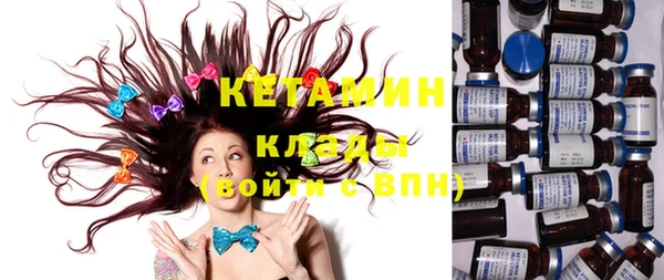 крисы Алзамай