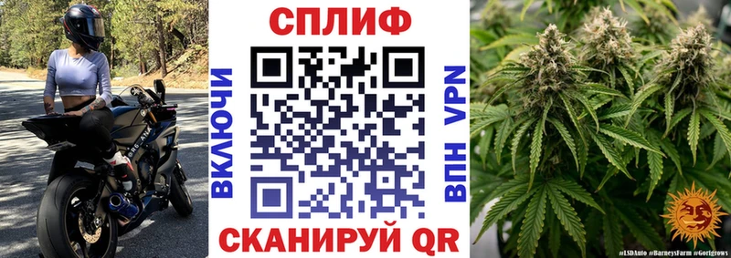 Шишки марихуана Amnesia купить наркоту Кирово-Чепецк